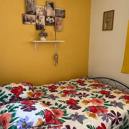 Apartment Vue A 180 Degre *